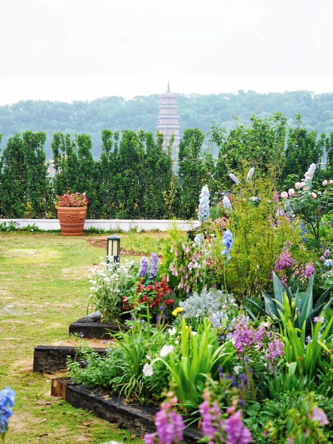 ob�羺��(�й���)���Ӿ���ƽ̨