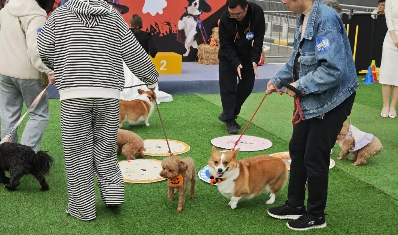 ob�羺��(�й���)���Ӿ���ƽ̨