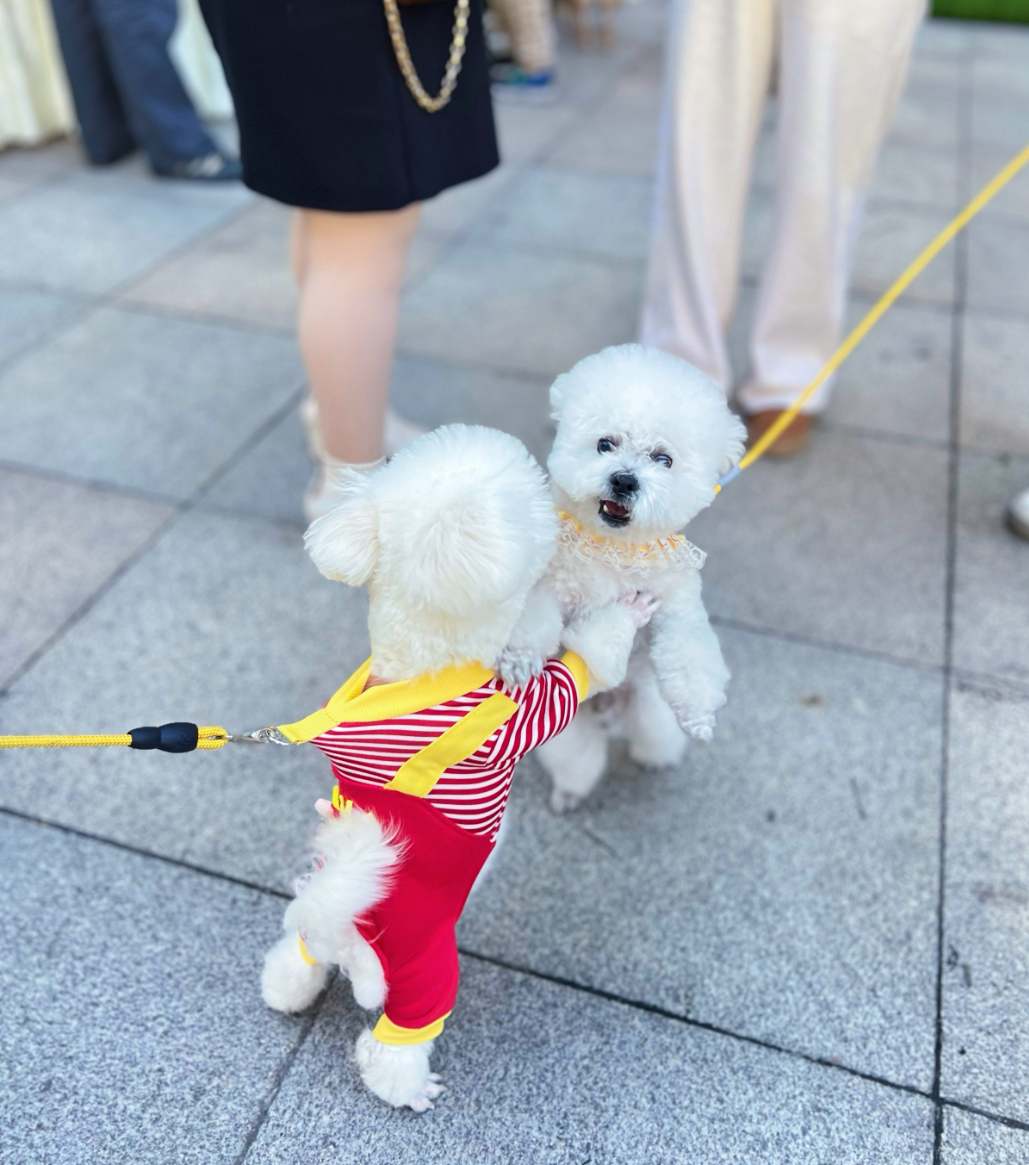 ob�羺��(�й���)���Ӿ���ƽ̨