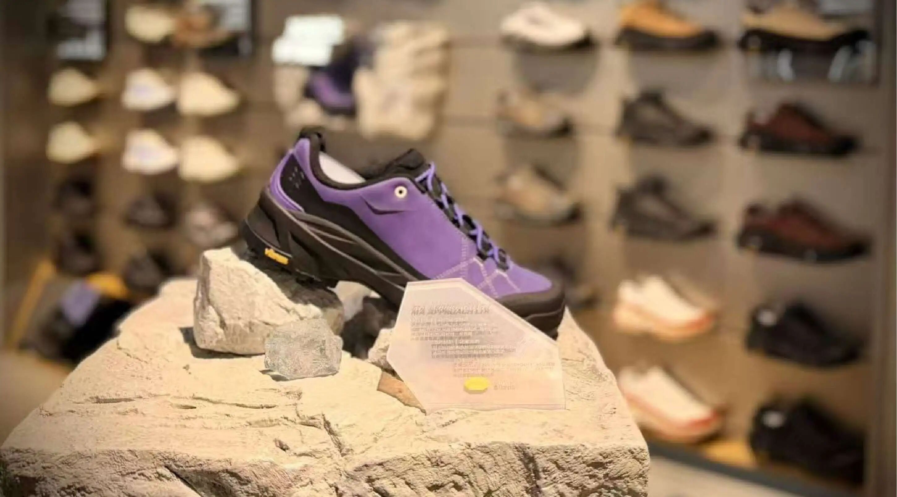 ob�羺��(�й���)���Ӿ���ƽ̨