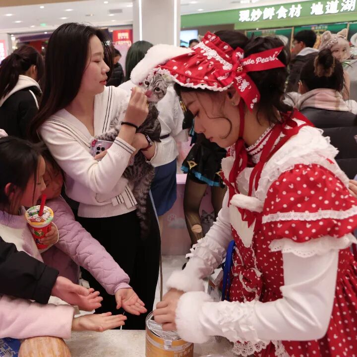 obµç¾º¡¤(ÖйúÓÎ)µç×Ó¾º¼¼Æ½Ì¨