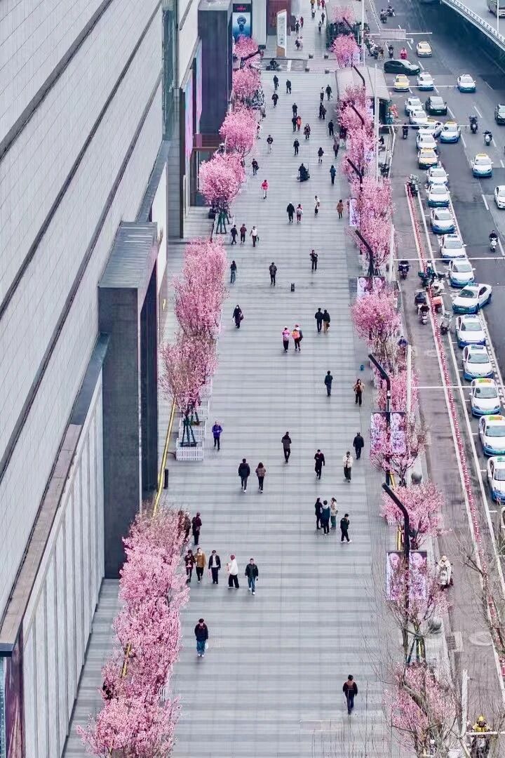 ob电竞·(中国游)电子竞技平台