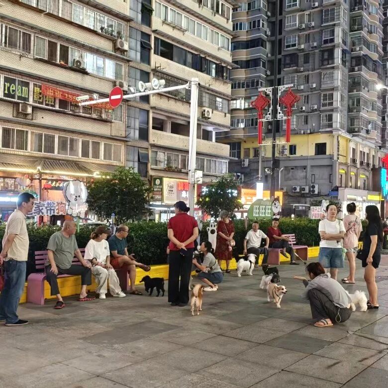 ob电竞·(中国游)电子竞技平台