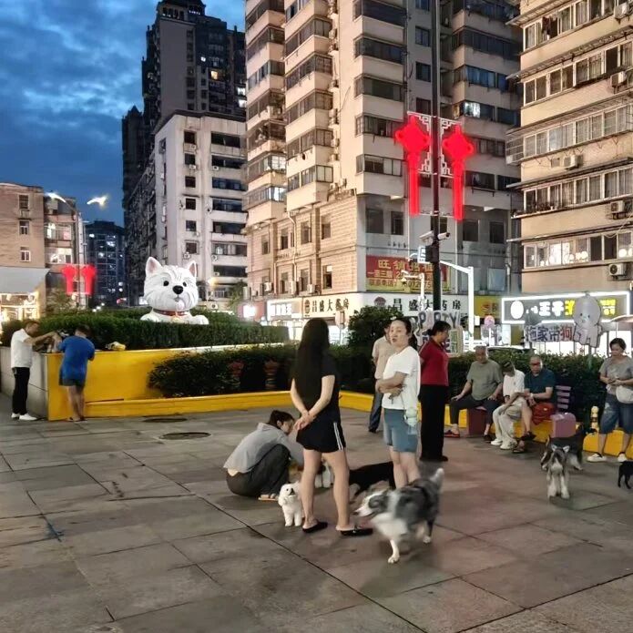 ob电竞·(中国游)电子竞技平台